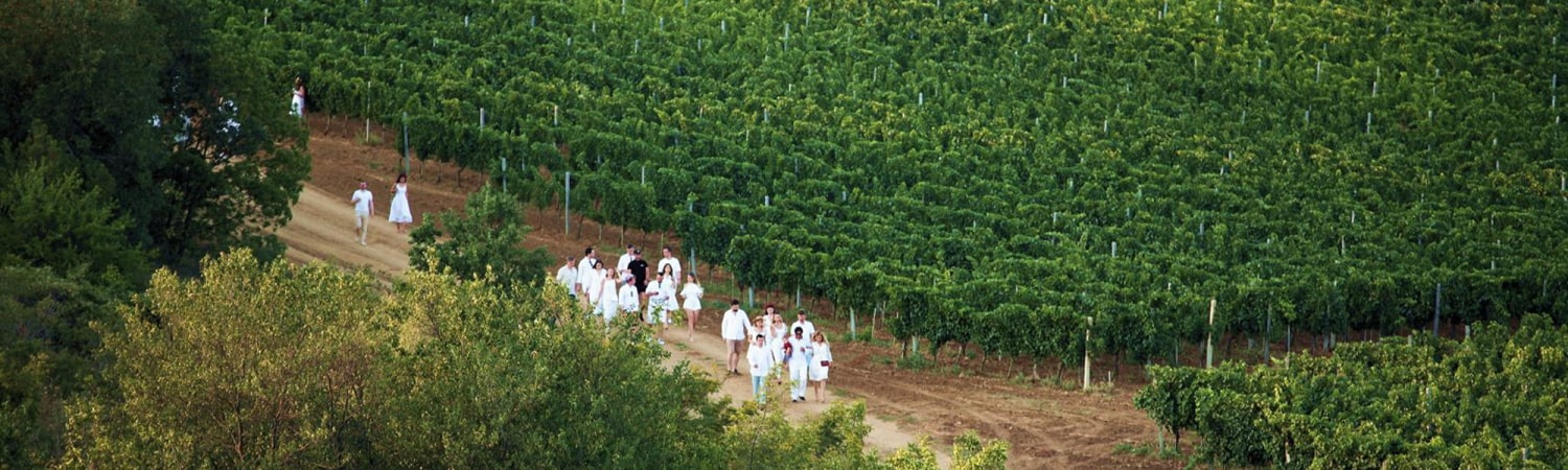 Вина Esse и Kacha Valley – изящество и роскошь крымского терруара Вина Esse и Kacha Valley – изящество и роскошь крымского терруара