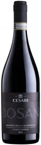 Вино Bosan Amarone della Valpolicella Classico Riserva, Gerardo Cesari, DOC, 2015, 0.75 л