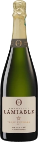 Шампанское Terre d'Etoiles Brut Grand Cru, Champagne Lamiable, AOC, 0.75 л