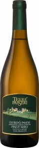 Игристое вино Pinot Nero, Terre Passeri, DOC, 2023, 0.75 л