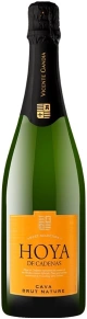 Игристое вино Hoya de Cadenas, Vicente Gandia, DO, 0.75 л