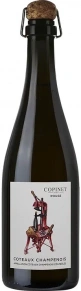 Вино Rouge (Pinot Meunier), Marie Copinet, AOC, 2021, 0.75 л