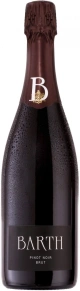Игристое вино Pinot Noir Brut, Barth, 2013, 0.75 л