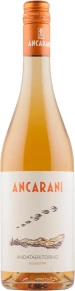 Вино Andataeritorno Roundtrip, Ancarani, 2020, 0.75 л