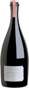 Игристое вино Ancestrale Lambrusco dell'Emilia Rose, Puianello, IGT, 2020, 0.75 л