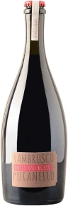 Игристое вино Ancestrale Lambrusco dell'Emilia Rosso, Puianello, IGP, 2019, 0.75 л