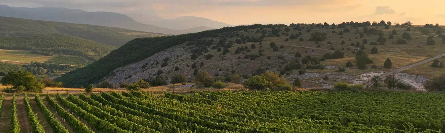 Винодельня Uppa Winery Павла Швеца Винодельня Uppa Winery Павла Швеца