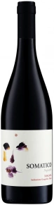 Вино Somatico Pugnitello, Podere il Castellaccio, IGT, 2020, 0.75 л
