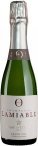 Шампанское Terre d'Etoiles Brut Grand Cru, Champagne Lamiable, AOC, 0.375 л