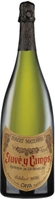 Игристое вино Reserva de la Familia, Juve y Camps, 2011, 3 л