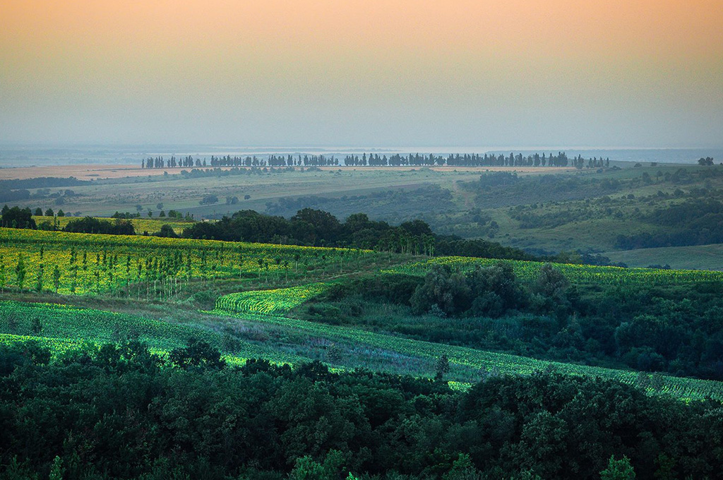 Вина Лефкадии Вина Лефкадии