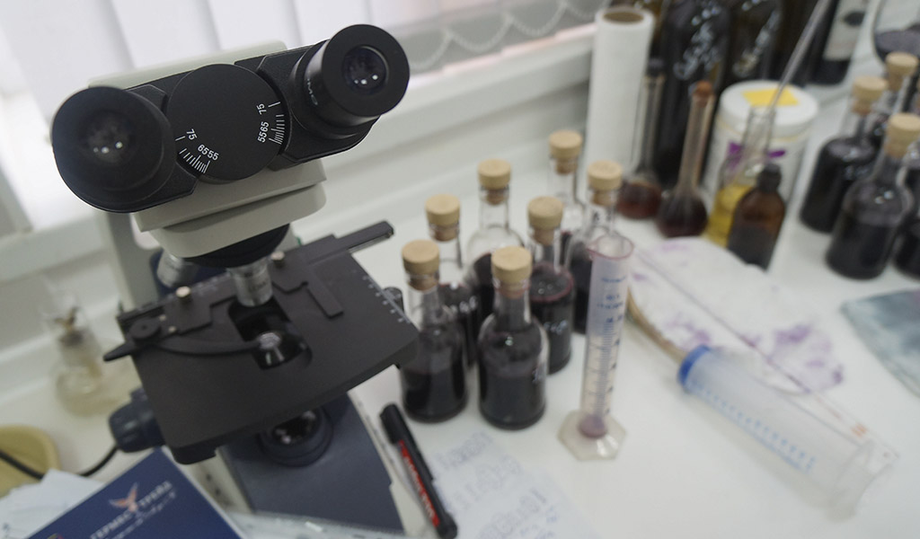 Собер Баш производство вина Собер Баш производство вина